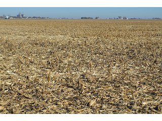 Tract 1 - FARMLAND AUCTION - 165.5+/- ACRES OFFERED IN 5 TRACTS OR COMBINATIONS IN EAST ALLEN COUNTY
